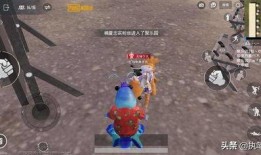 载具皮肤最新爆料蹦蹦,炫酷造型，个性十足！