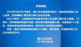 廉江公安局爆料案件最新,揭秘背后惊人内幕